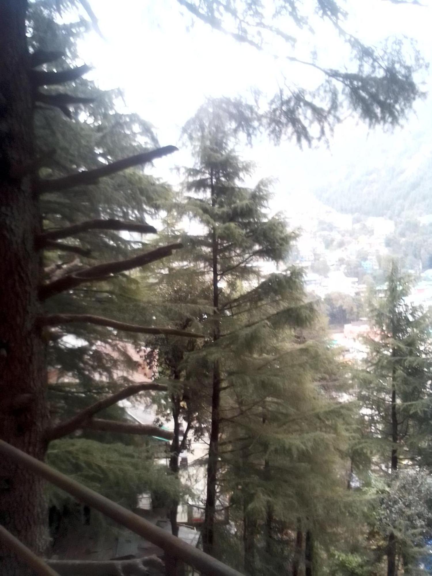 Himalayan Triund Trekking And Mountain View Hostel Dharamshala Luaran gambar