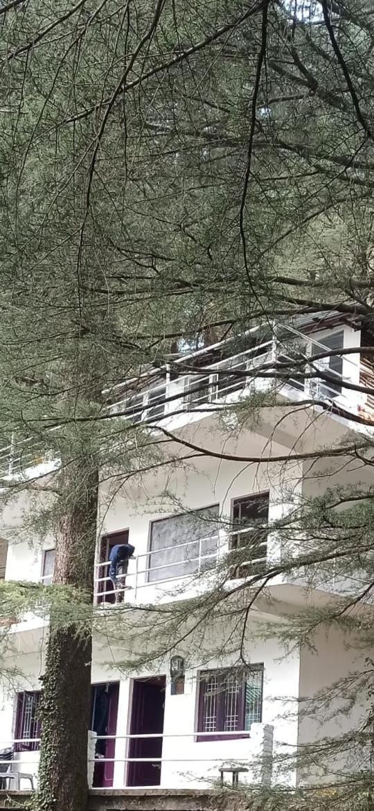 Himalayan Triund Trekking And Mountain View Hostel Dharamshala Luaran gambar